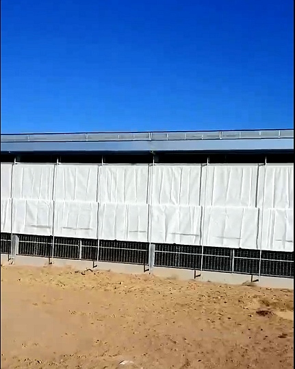 蜜桃AV网站免费看卷帘