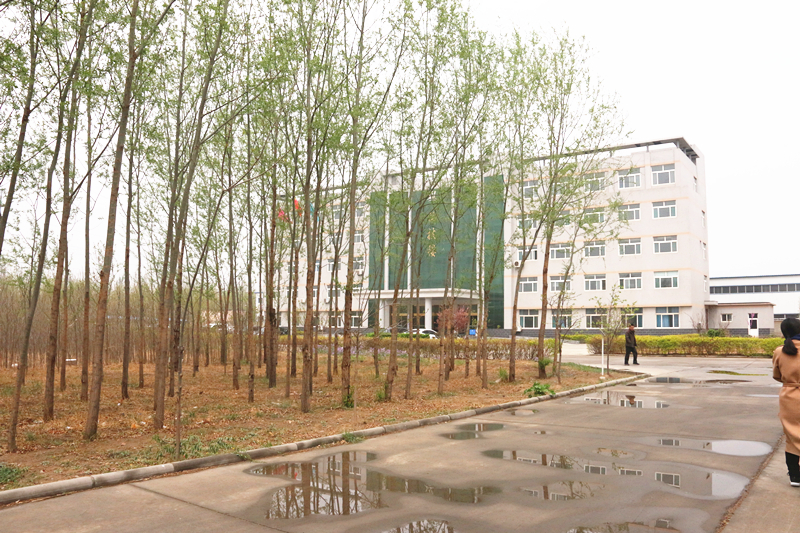 山东蜜桃视频APP下载网站免费智能装备有限公司园区一角