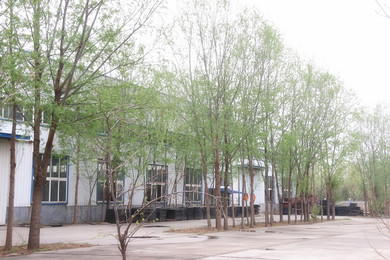 山东蜜桃视频APP下载网站免费智能装备有限公司园区一角