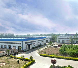 山东蜜桃视频APP下载网站免费智能装备有限公司实景